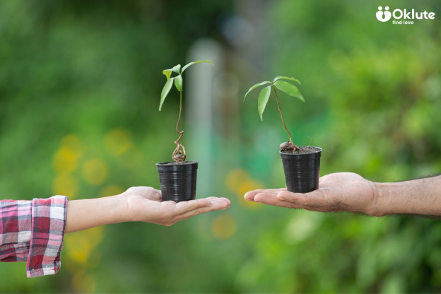 Trust Grows Through Small Everyday Actions